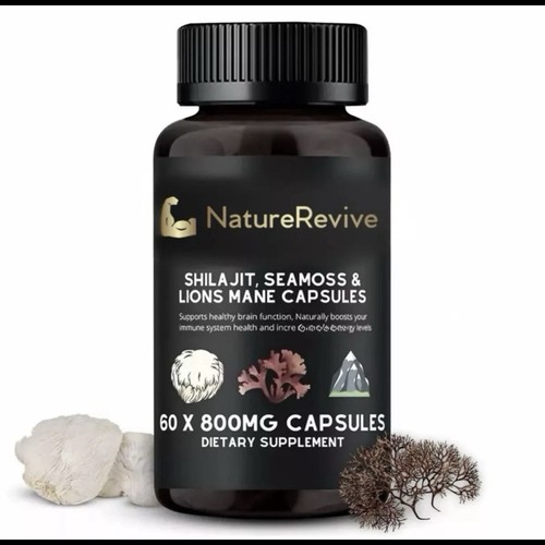 Shilajit sea moss and lion - shilajit,